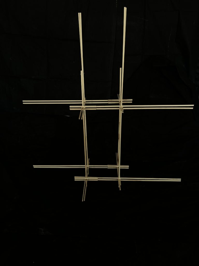 Protostructure CELLULE DE LA PROTOSTRUCTURE | AliceBlogs