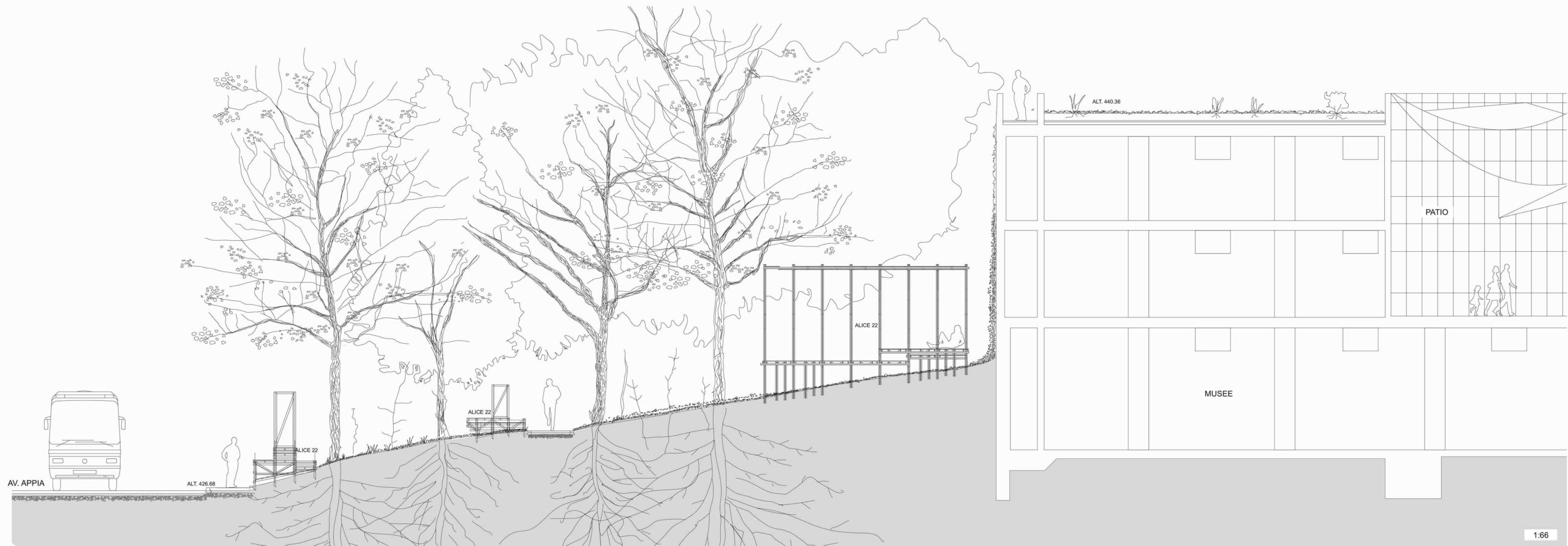 ligne de désir | AliceBlogs