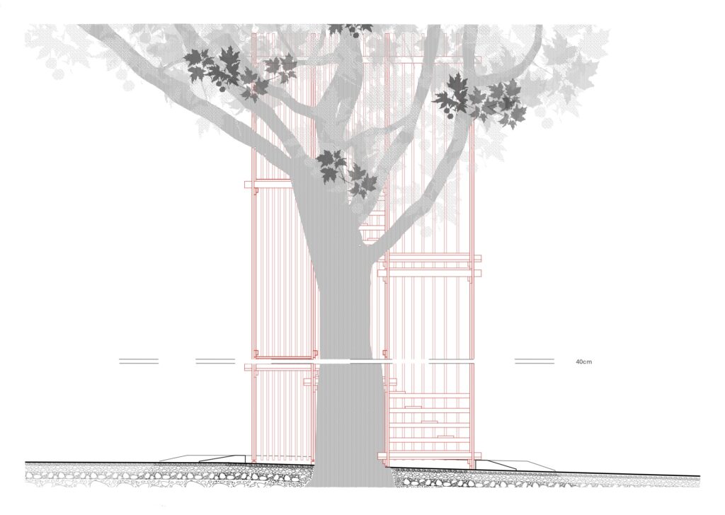 Tree Spatial Layers Design tree space plan, section and elevation | AliceBlogs