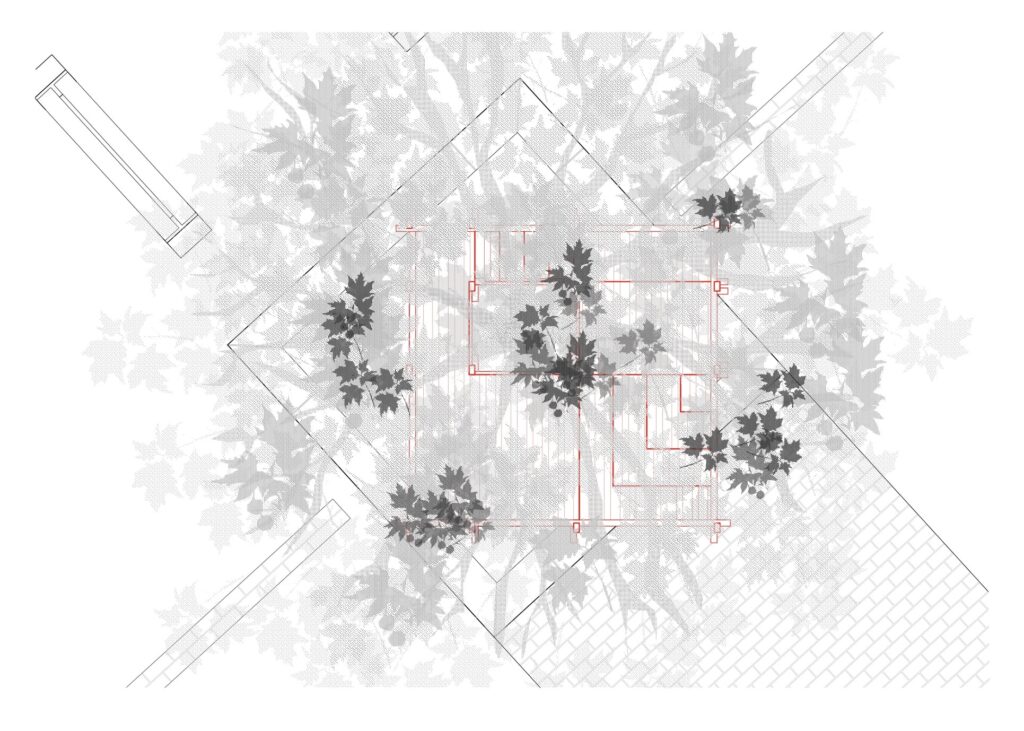 Tree Spatial Layers Design tree space plan, section and elevation | AliceBlogs